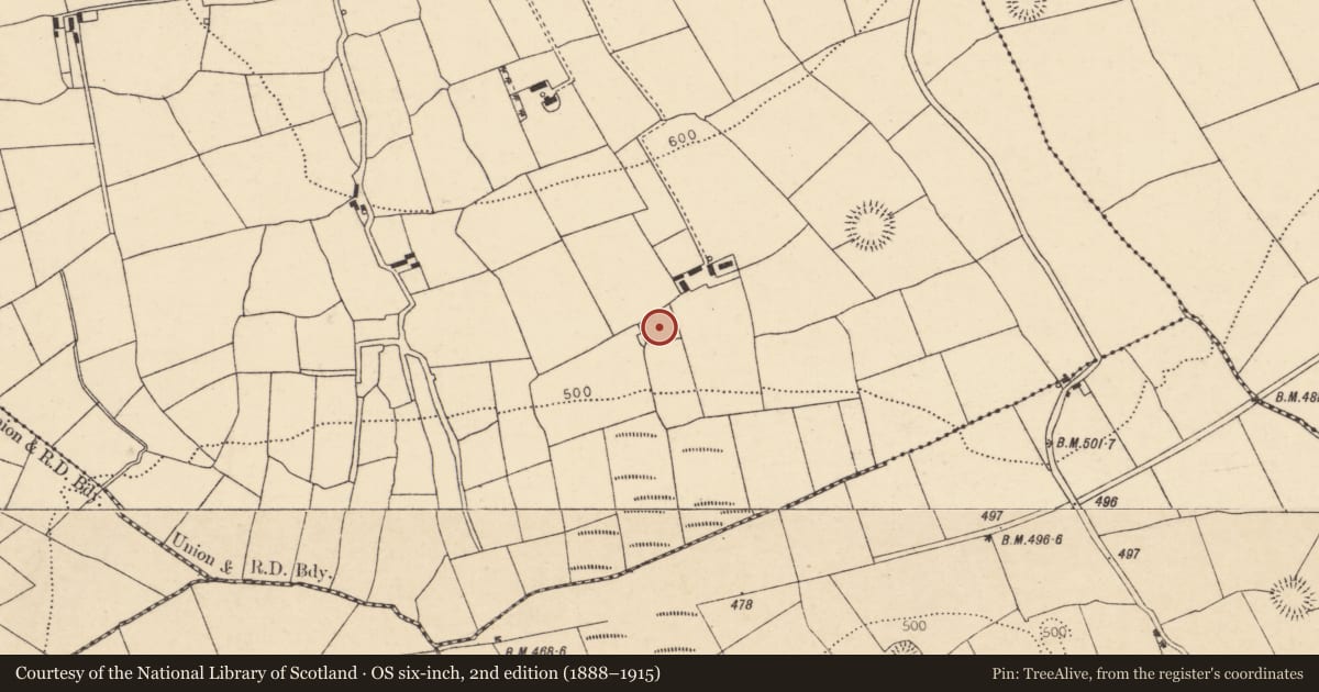 Ordnance Survey six-inch map, 2nd edition (1888–1915) covering the location of Enclosure, Ballyhoolahan West, County Cork, with a pin at the register's coordinates
