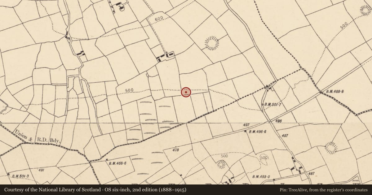 Ordnance Survey six-inch map, 2nd edition (1888–1915) covering the location of Fulacht fia, Ballyhoolahan West, County Cork, with a pin at the register's coordinates