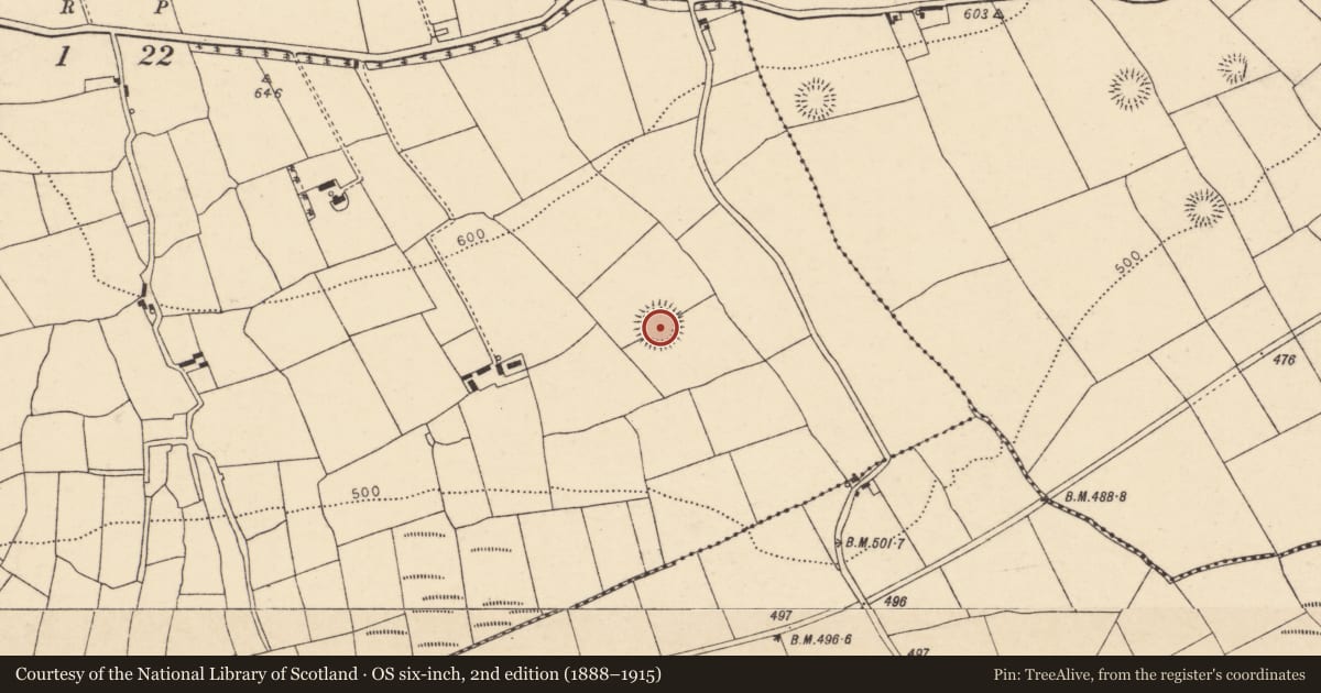 Ordnance Survey six-inch map, 2nd edition (1888–1915) covering the location of Ringfort - rath, Ballyhoolahan West, County Cork, with a pin at the register's coordinates