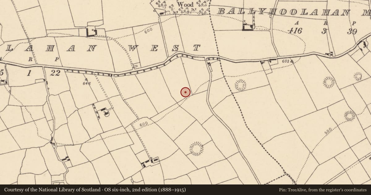 Ordnance Survey six-inch map, 2nd edition (1888–1915) covering the location of Fulacht fia, Ballyhoolahan West, County Cork, with a pin at the register's coordinates