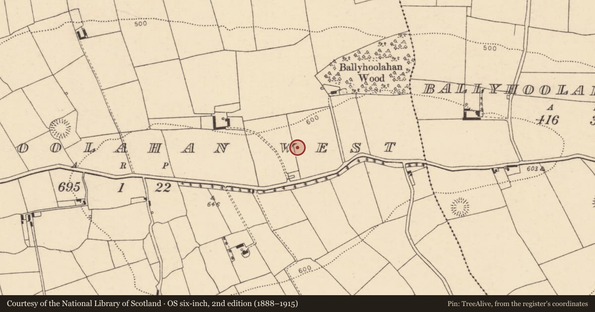 Ordnance Survey six-inch map, 2nd edition (1888–1915) covering the location of Fulacht fia, Ballyhoolahan West, County Cork, with a pin at the register's coordinates