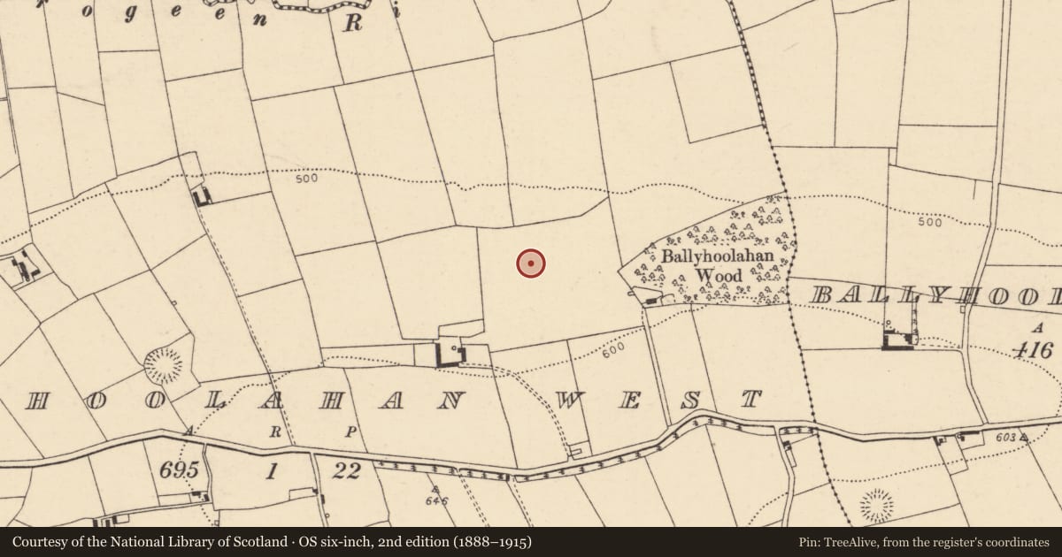 Ordnance Survey six-inch map, 2nd edition (1888–1915) covering the location of Fulacht fia, Ballyhoolahan West, County Cork, with a pin at the register's coordinates