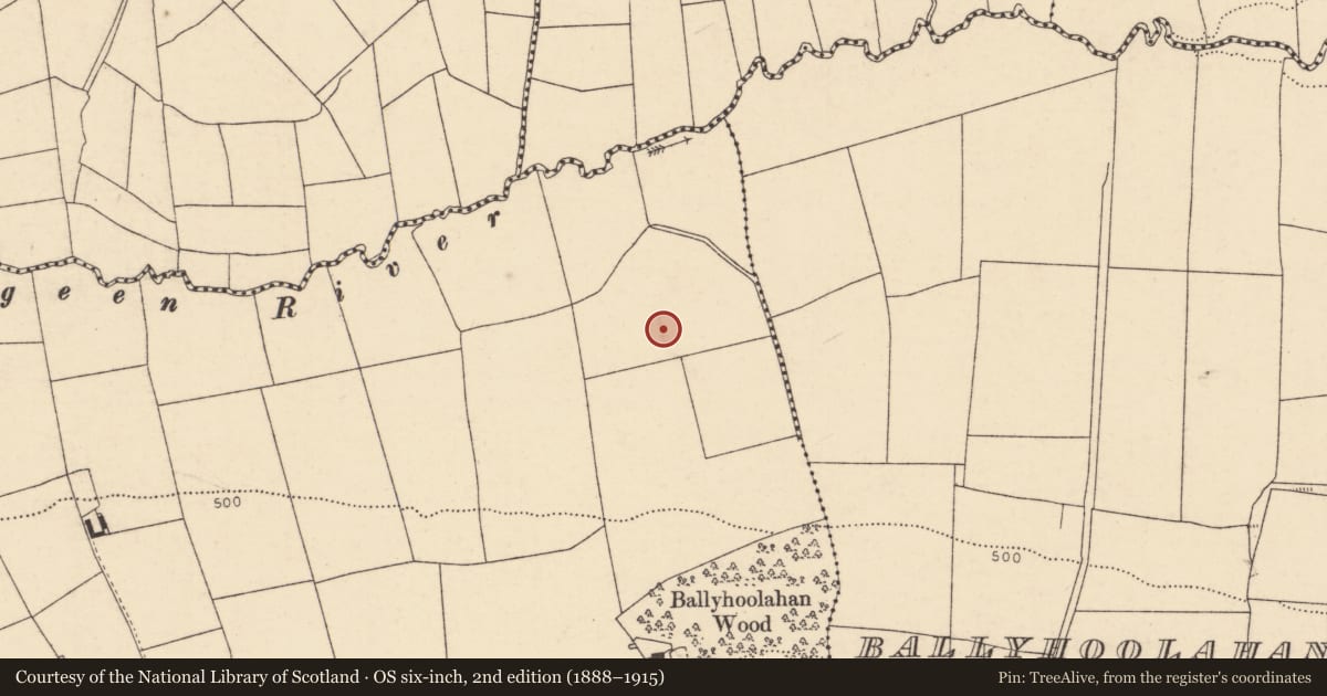 Ordnance Survey six-inch map, 2nd edition (1888–1915) covering the location of Fulacht fia, Ballyhoolahan West, County Cork, with a pin at the register's coordinates