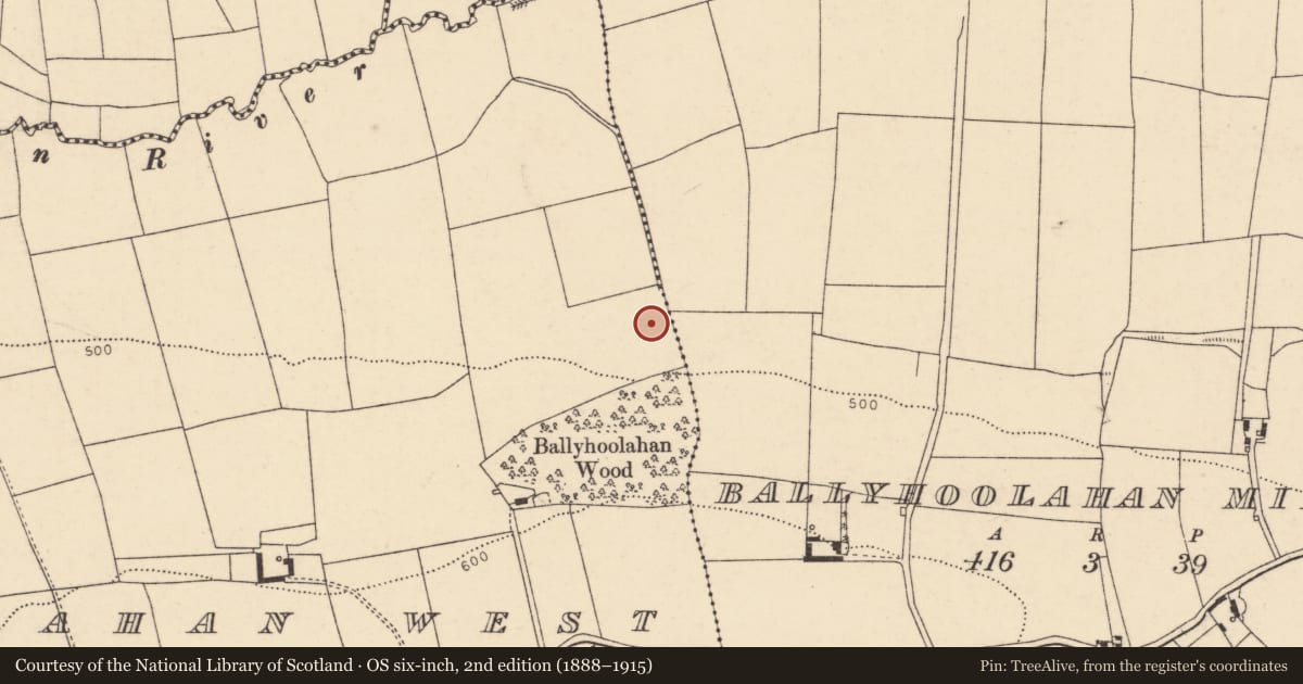 Ordnance Survey six-inch map, 2nd edition (1888–1915) covering the location of Fulacht fia, Ballyhoolahan West, County Cork, with a pin at the register's coordinates