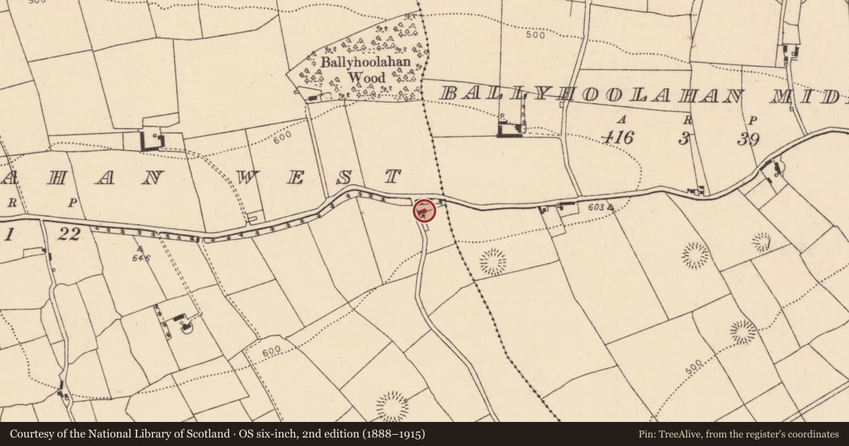 Ordnance Survey six-inch map, 2nd edition (1888–1915) covering the location of House - vernacular house, Ballyhoolahan West, County Cork, with a pin at the register's coordinates