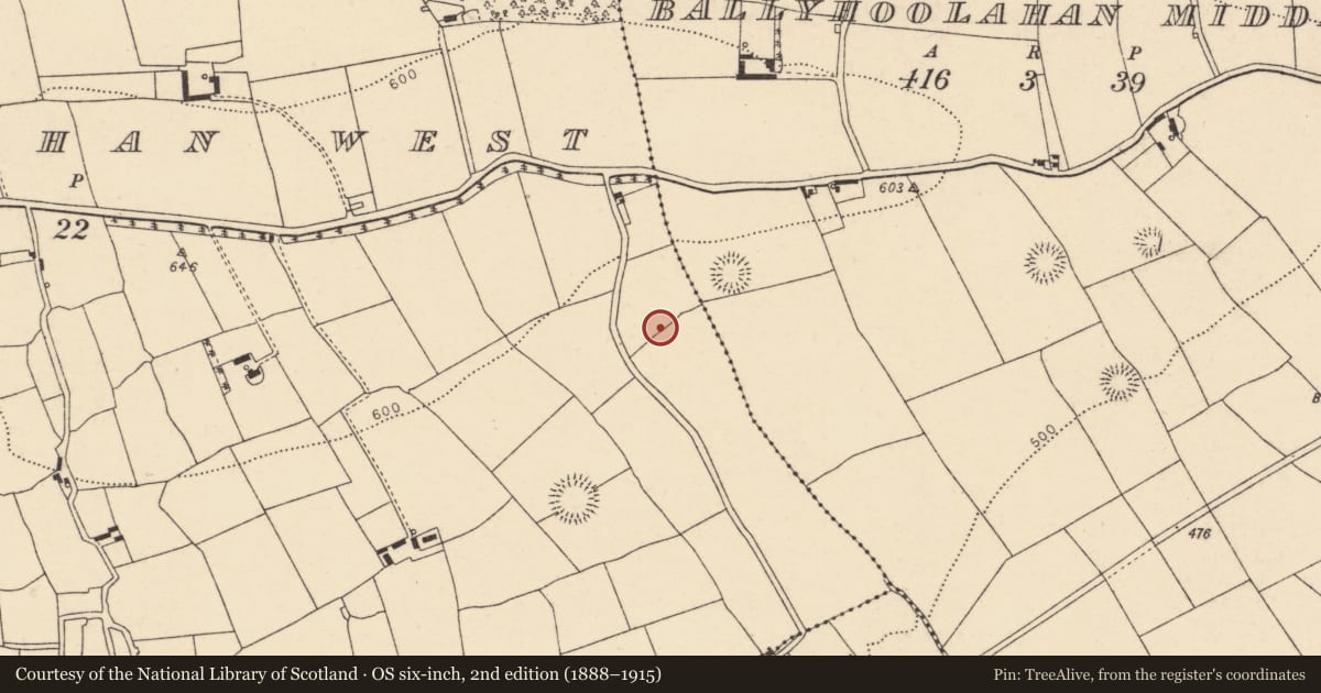 Ordnance Survey six-inch map, 2nd edition (1888–1915) covering the location of Fulacht fia, Ballyhoolahan West, County Cork, with a pin at the register's coordinates