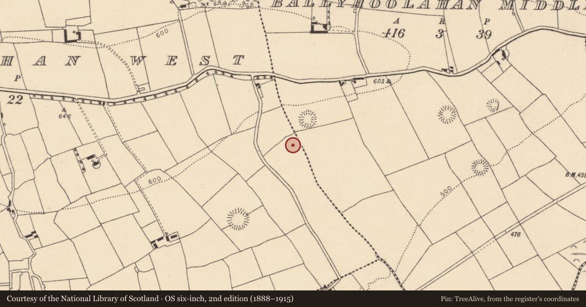 Ordnance Survey six-inch map, 2nd edition (1888–1915) covering the location of Fulacht fia, Ballyhoolahan West, County Cork, with a pin at the register's coordinates