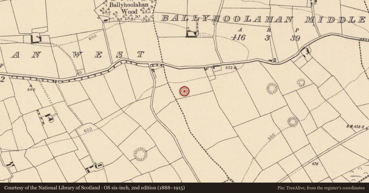Ordnance Survey six-inch map, 2nd edition (1888–1915) covering the location of Ringfort - rath, Ballyhoolahan Middle, County Cork, with a pin at the register's coordinates