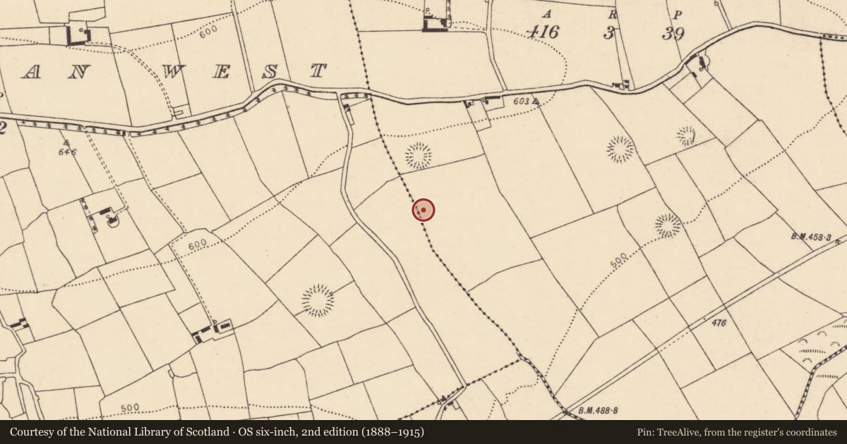 Ordnance Survey six-inch map, 2nd edition (1888–1915) covering the location of Fulacht fia, Ballyhoolahan Middle, County Cork, with a pin at the register's coordinates