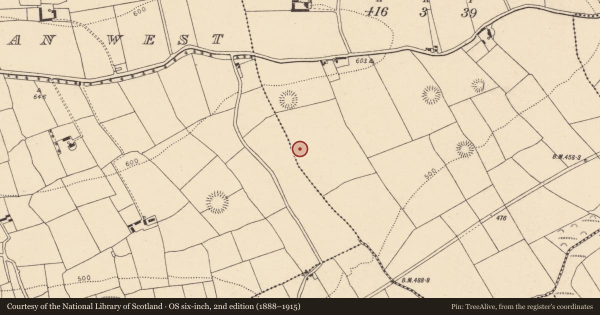 Ordnance Survey six-inch map, 2nd edition (1888–1915) covering the location of Fulacht fia, Ballyhoolahan Middle, County Cork, with a pin at the register's coordinates