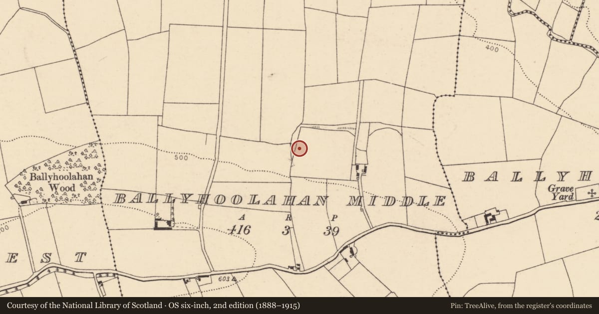 Ordnance Survey six-inch map, 2nd edition (1888–1915) covering the location of Fulacht fia, Ballyhoolahan Middle, County Cork, with a pin at the register's coordinates