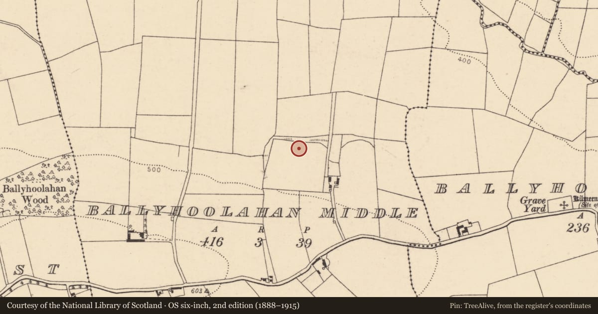 Ordnance Survey six-inch map, 2nd edition (1888–1915) covering the location of Fulacht fia, Ballyhoolahan Middle, County Cork, with a pin at the register's coordinates