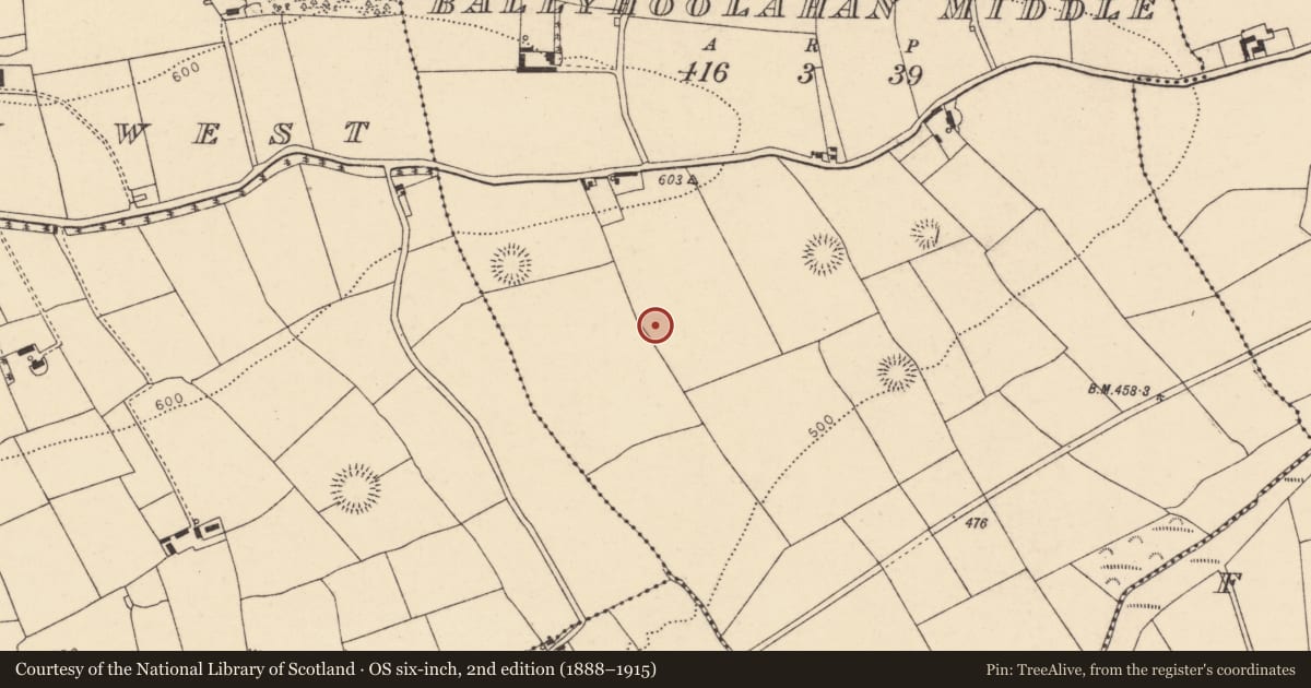 Ordnance Survey six-inch map, 2nd edition (1888–1915) covering the location of Ringfort - rath, Ballyhoolahan Middle, County Cork, with a pin at the register's coordinates