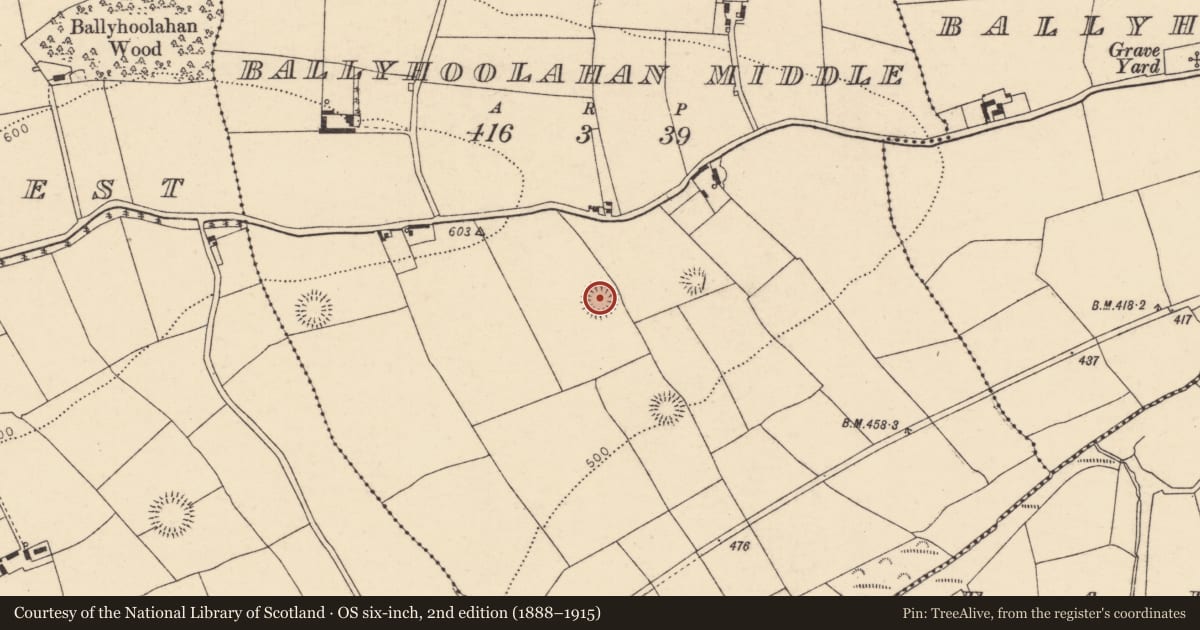 Ordnance Survey six-inch map, 2nd edition (1888–1915) covering the location of Ringfort - rath, Ballyhoolahan Middle, County Cork, with a pin at the register's coordinates