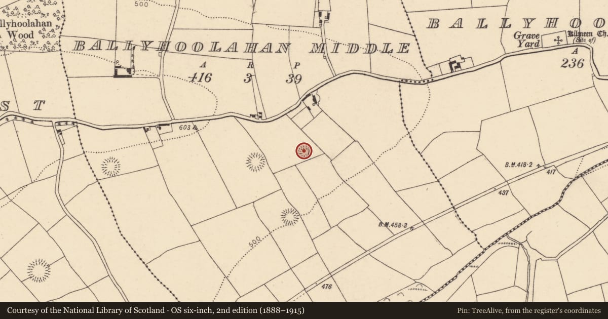Ordnance Survey six-inch map, 2nd edition (1888–1915) covering the location of Ringfort - rath, Ballyhoolahan Middle, County Cork, with a pin at the register's coordinates