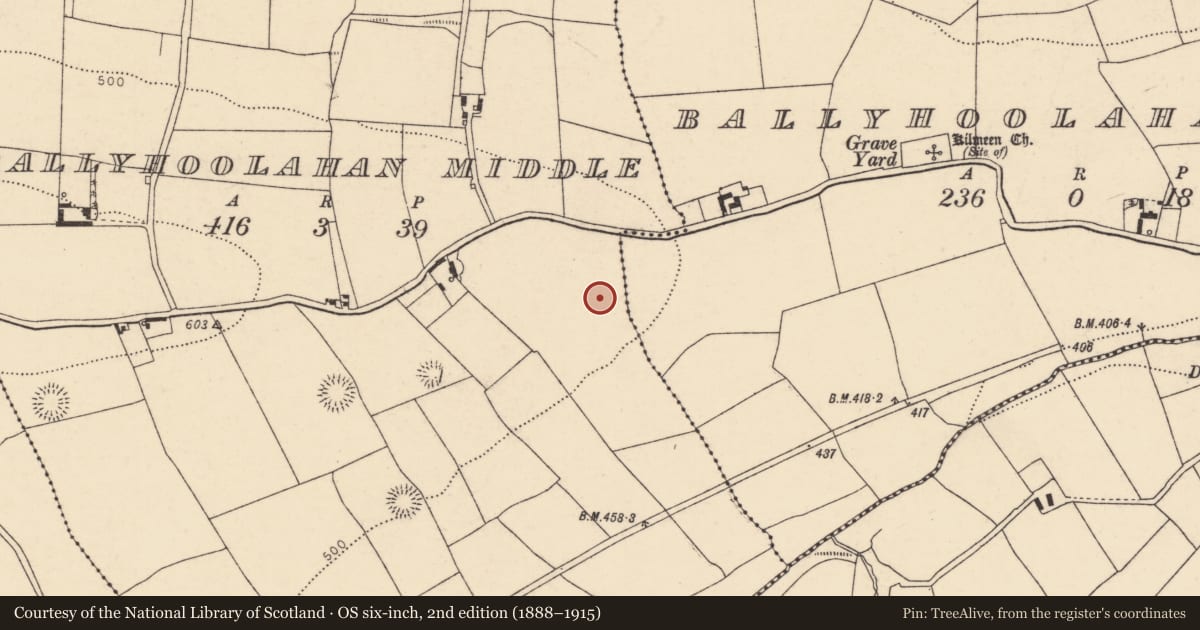 Ordnance Survey six-inch map, 2nd edition (1888–1915) covering the location of Fulacht fia, Ballyhoolahan Middle, County Cork, with a pin at the register's coordinates