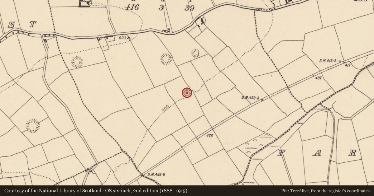 Ordnance Survey six-inch map, 2nd edition (1888–1915) covering the location of Ringfort - rath, Ballyhoolahan Middle, County Cork, with a pin at the register's coordinates