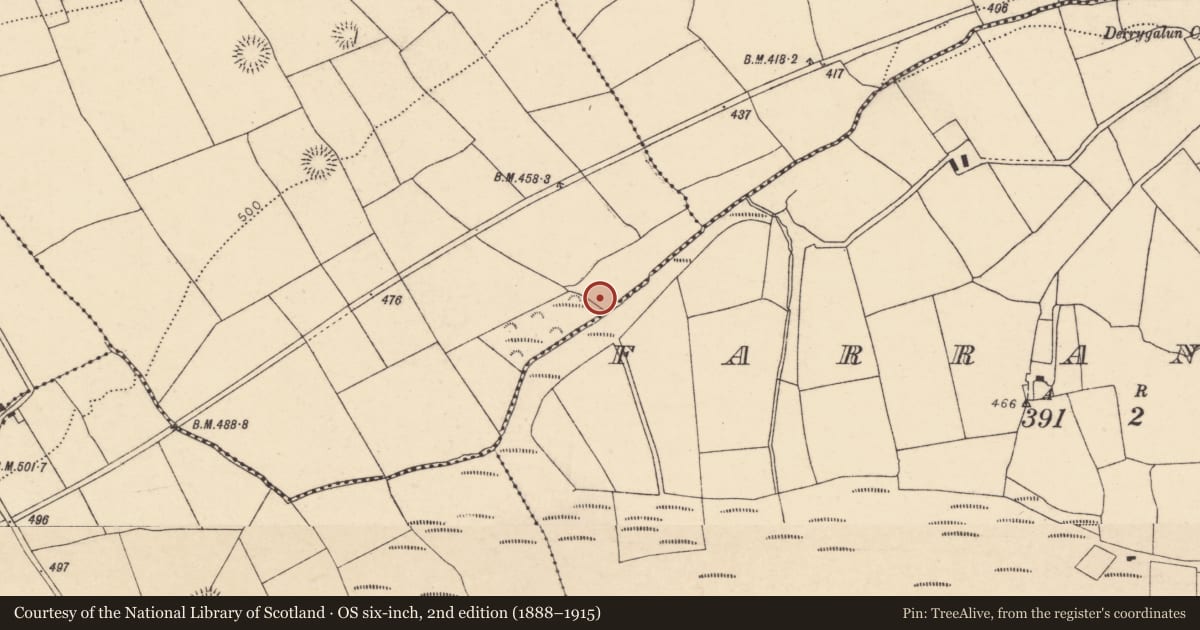 Ordnance Survey six-inch map, 2nd edition (1888–1915) covering the location of Fulacht fia, Ballyhoolahan Middle, County Cork, with a pin at the register's coordinates