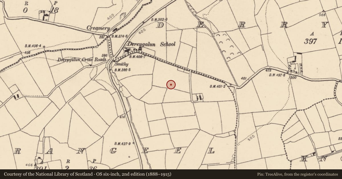 Ordnance Survey six-inch map, 2nd edition (1888–1915) covering the location of Ringfort - rath, Farrangeel, County Cork, with a pin at the register's coordinates