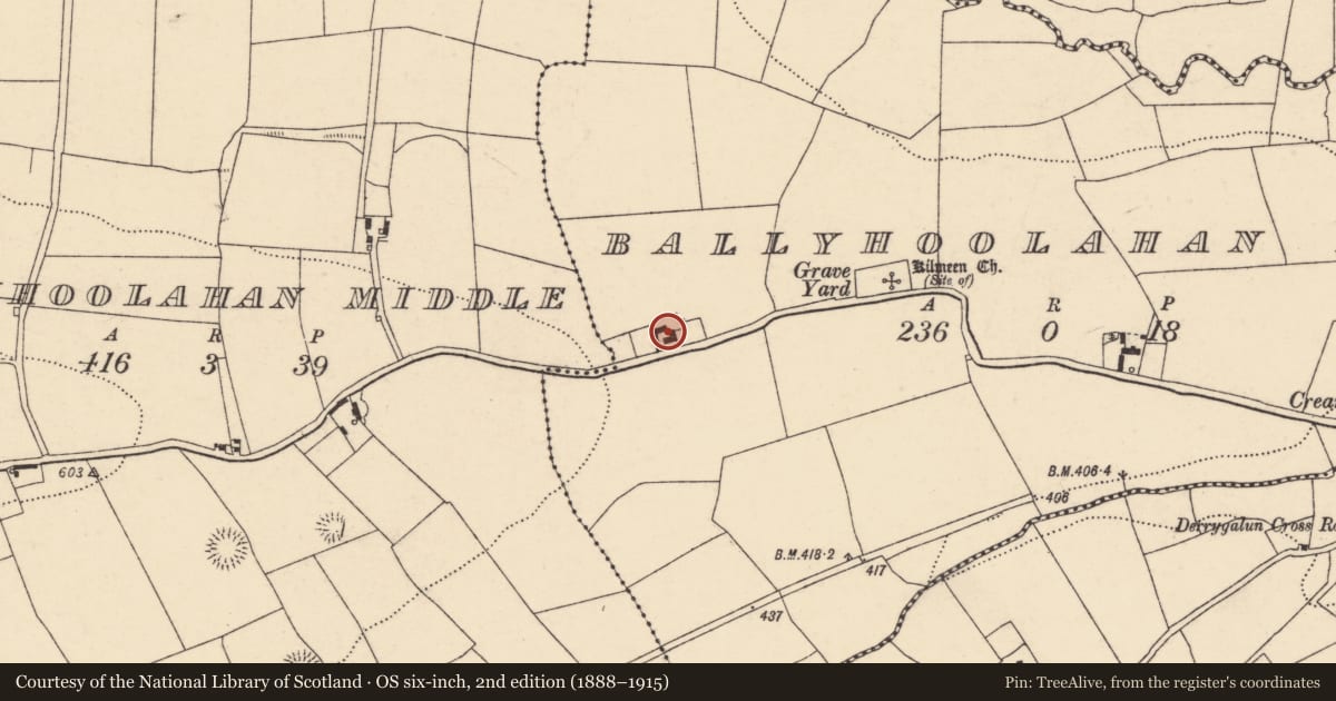 Ordnance Survey six-inch map, 2nd edition (1888–1915) covering the location of House - vernacular house, Ballyhoolahan East, County Cork, with a pin at the register's coordinates