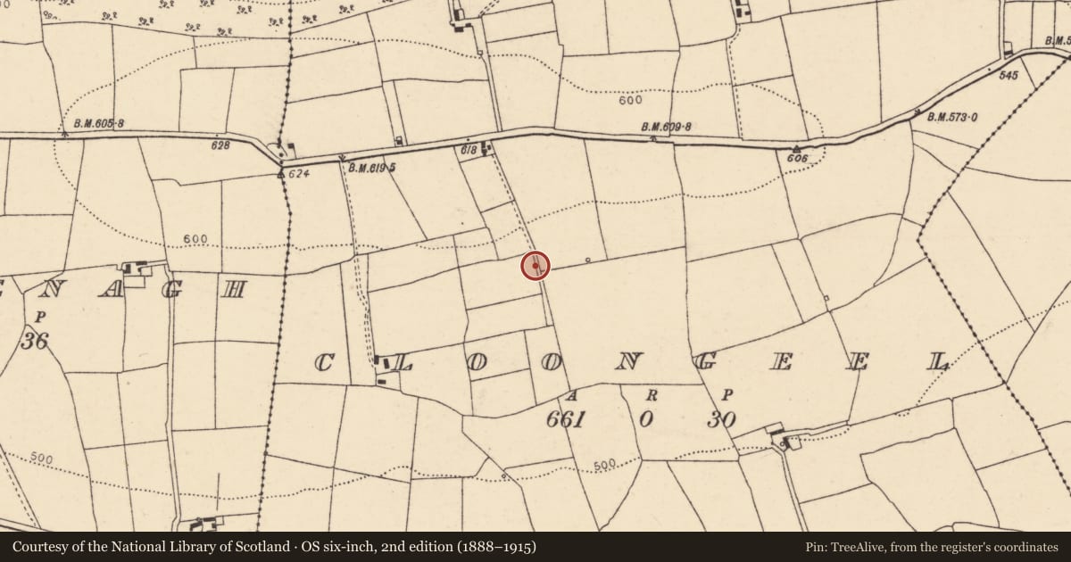 Ordnance Survey six-inch map, 2nd edition (1888–1915) covering the location of Fulacht fia, Cloongeel, County Cork, with a pin at the register's coordinates