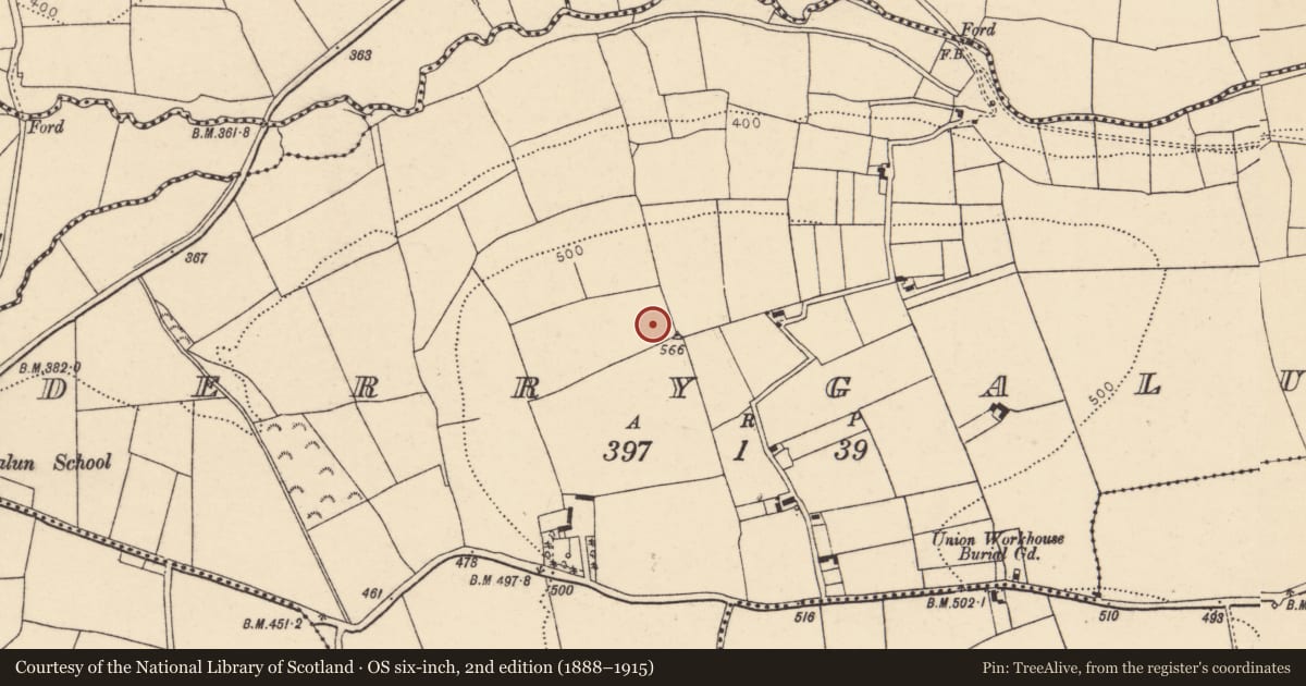 Ordnance Survey six-inch map, 2nd edition (1888–1915) covering the location of Burial ground, Derrygalun, County Cork, with a pin at the register's coordinates
