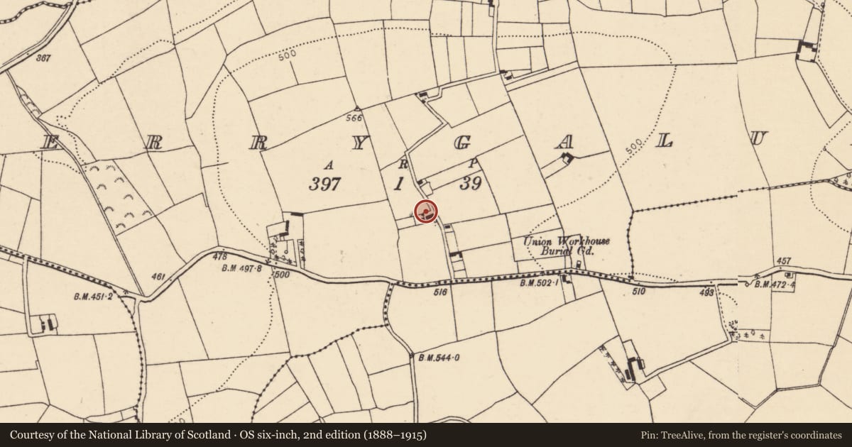 Ordnance Survey six-inch map, 2nd edition (1888–1915) covering the location of House - vernacular house, Derrygalun, County Cork, with a pin at the register's coordinates