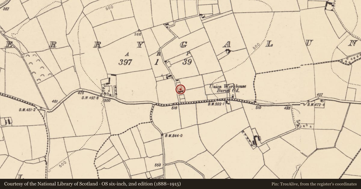 Ordnance Survey six-inch map, 2nd edition (1888–1915) covering the location of House - vernacular house, Derrygalun, County Cork, with a pin at the register's coordinates