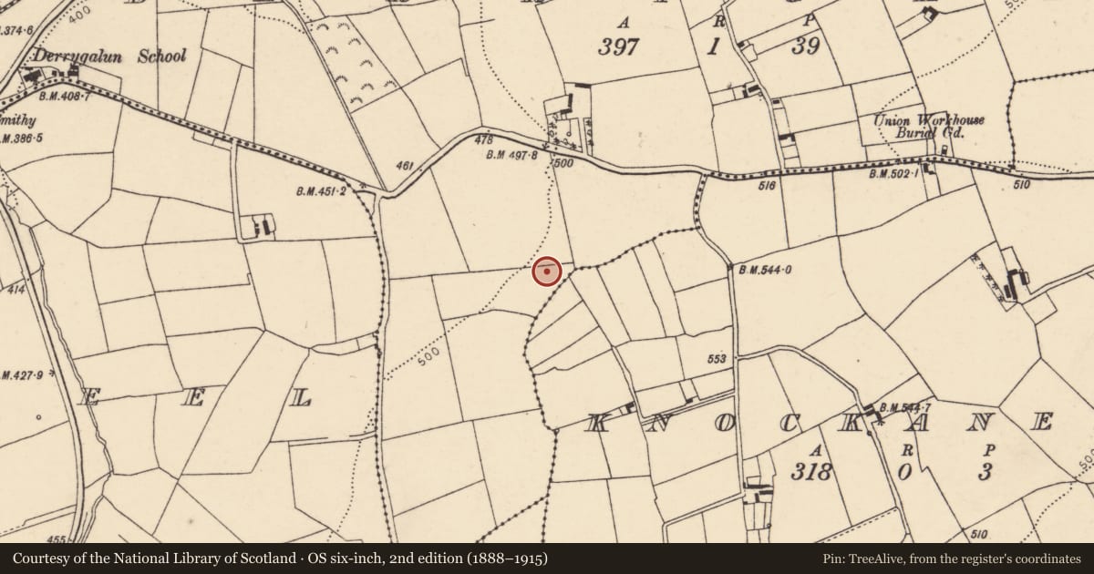 Ordnance Survey six-inch map, 2nd edition (1888–1915) covering the location of Fulacht fia, Derrygalun, County Cork, with a pin at the register's coordinates