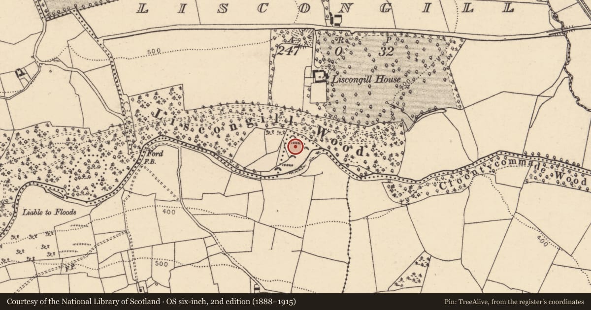 Ordnance Survey six-inch map, 2nd edition (1888–1915) covering the location of Earthwork, Cloongeel, County Cork, with a pin at the register's coordinates
