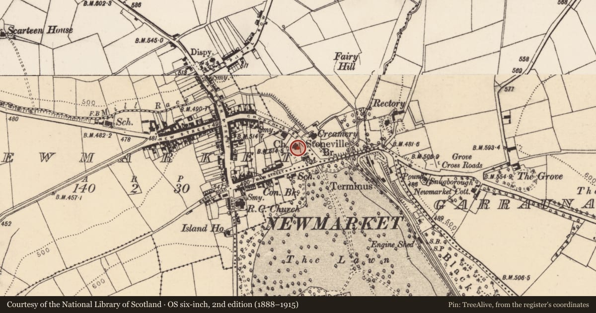 Ordnance Survey six-inch map, 2nd edition (1888–1915) covering the location of Church, Newmarket, County Cork, with a pin at the register's coordinates
