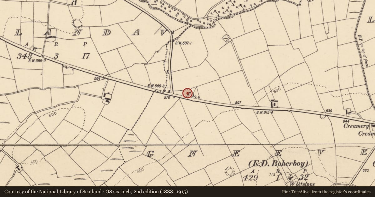 Ordnance Survey six-inch map, 2nd edition (1888–1915) covering the location of House - vernacular house, Gneeves (Duhallow By., Kilmeen Par.), County Cork, with a pin at the register's coordinates