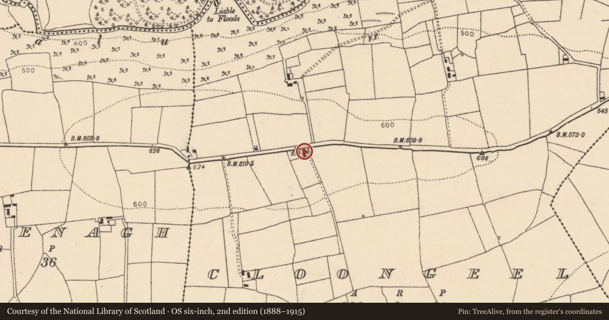 Ordnance Survey six-inch map, 2nd edition (1888–1915) covering the location of House - vernacular house, Cloongeel, County Cork, with a pin at the register's coordinates