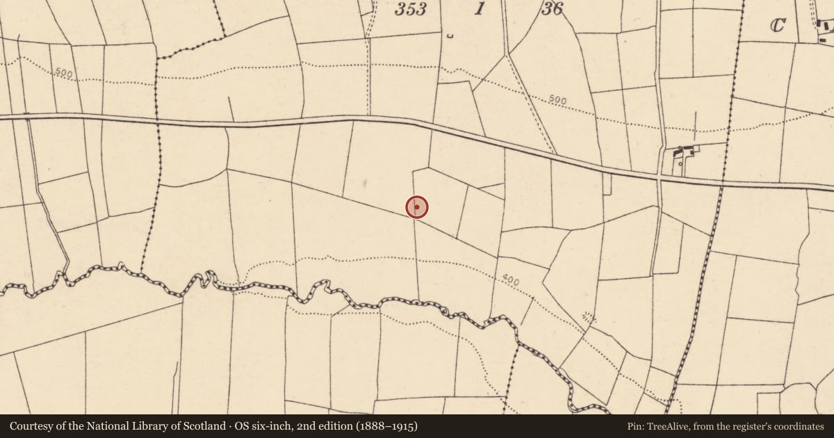 Ordnance Survey six-inch map, 2nd edition (1888–1915) covering the location of Fulacht fia, Aghaneenagh, County Cork, with a pin at the register's coordinates