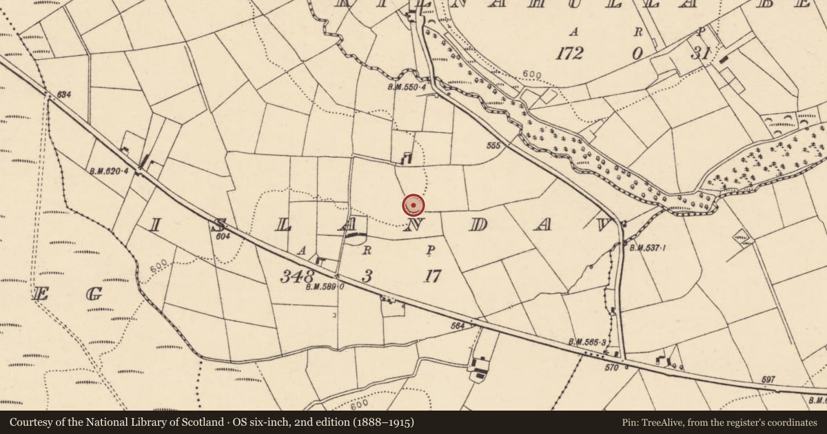 Ordnance Survey six-inch map, 2nd edition (1888–1915) covering the location of Souterrain, Islandav, County Cork, with a pin at the register's coordinates