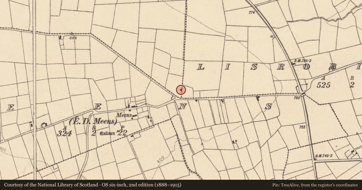 Ordnance Survey six-inch map, 2nd edition (1888–1915) covering the location of Ringfort - rath, Lisrobin West, Reanagashel, County Cork, with a pin at the register's coordinates