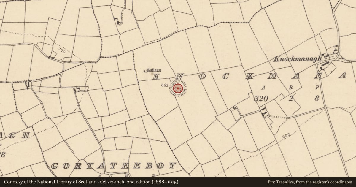 Ordnance Survey six-inch map, 2nd edition (1888–1915) covering the location of Souterrain, Knockmanagh, County Cork, with a pin at the register's coordinates
