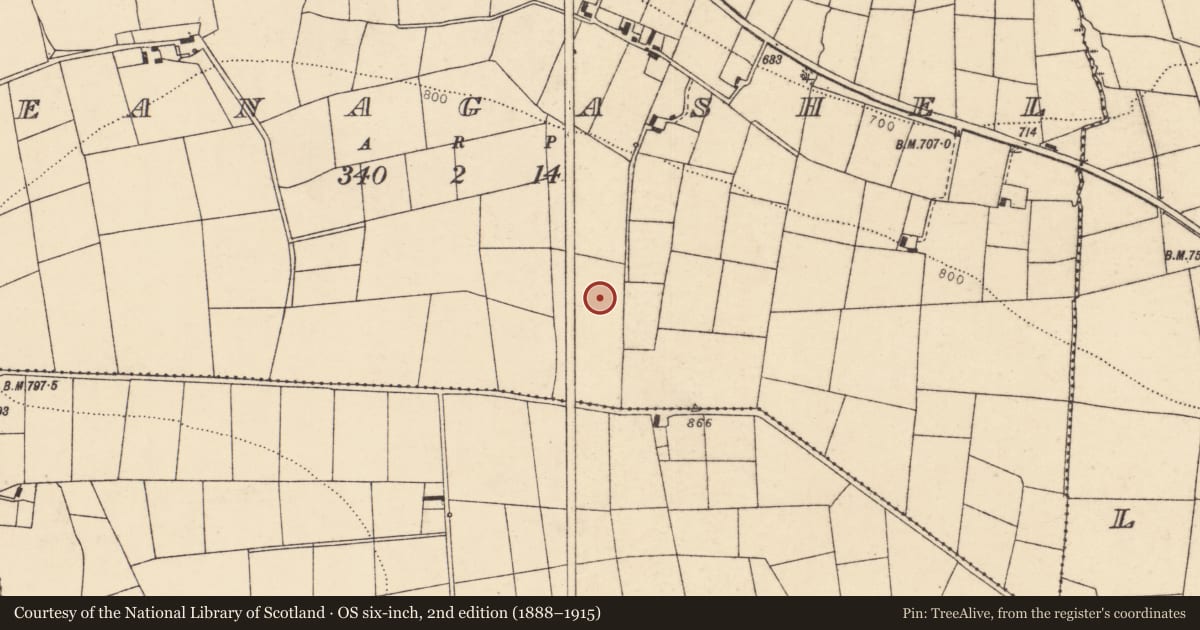Ordnance Survey six-inch map, 2nd edition (1888–1915) covering the location of Fulacht fia, Reanagashel, County Cork, with a pin at the register's coordinates