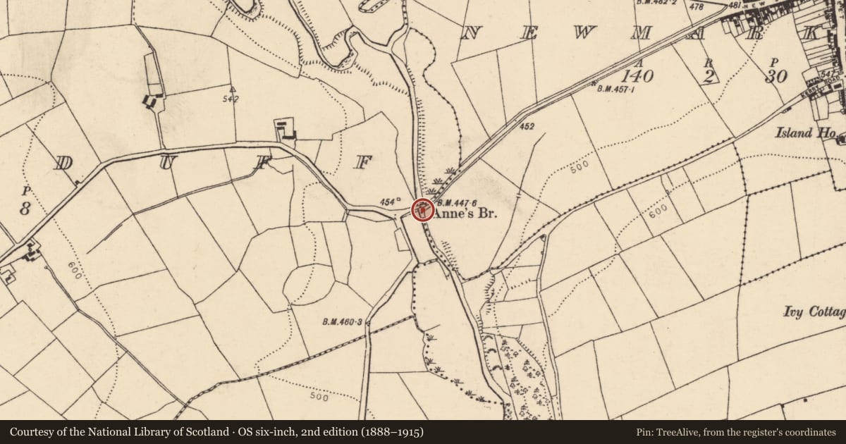 Ordnance Survey six-inch map, 2nd edition (1888–1915) covering the location of Bridge, Curraduff, Newmarket, County Cork, with a pin at the register's coordinates