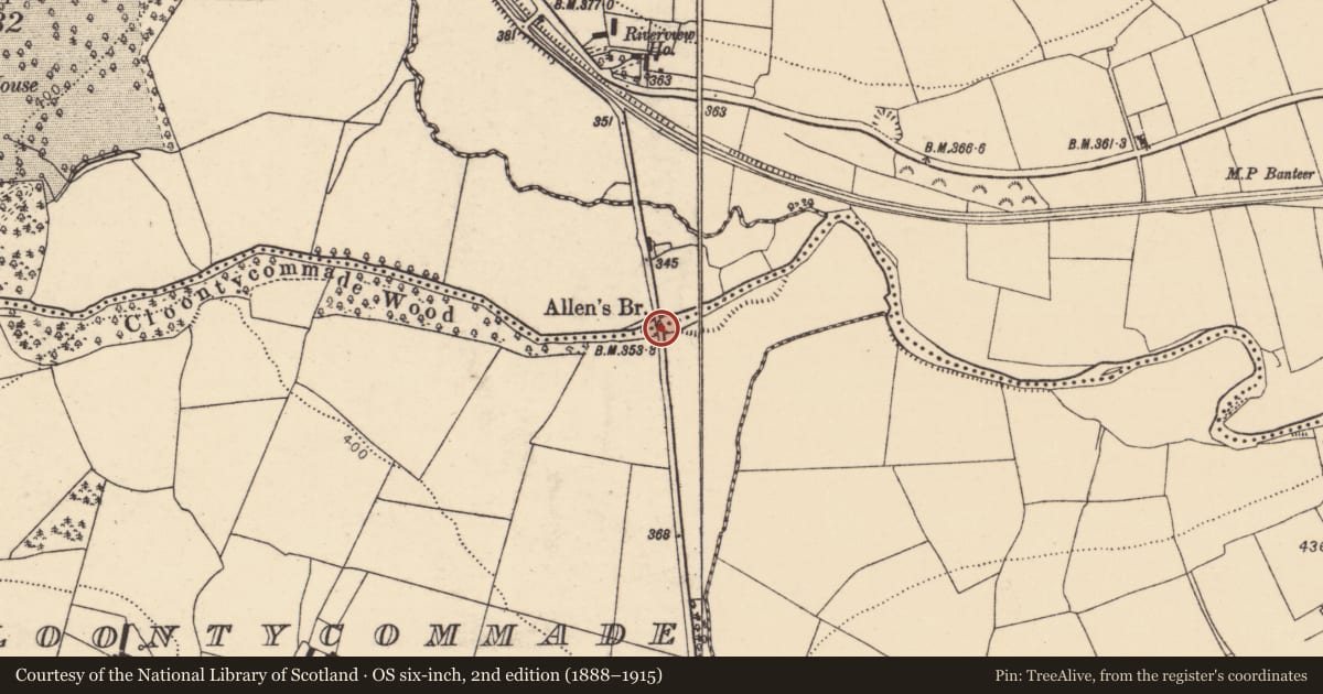 Ordnance Survey six-inch map, 2nd edition (1888–1915) covering the location of Bridge, Liscongill, Cloontycommade, County Cork, with a pin at the register's coordinates