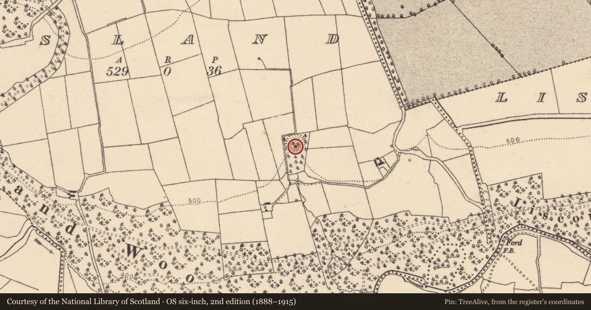 Ordnance Survey six-inch map, 2nd edition (1888–1915) covering the location of Souterrain, Island, County Cork, with a pin at the register's coordinates