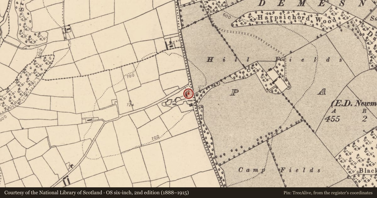 Ordnance Survey six-inch map, 2nd edition (1888–1915) covering the location of Kiln - lime, Island, County Cork, with a pin at the register's coordinates