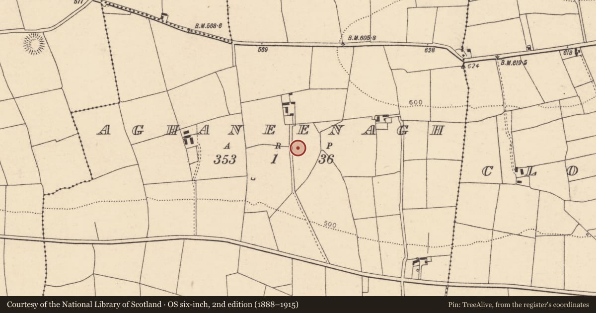 Ordnance Survey six-inch map, 2nd edition (1888–1915) covering the location of Enclosure, Aghaneenagh, County Cork, with a pin at the register's coordinates