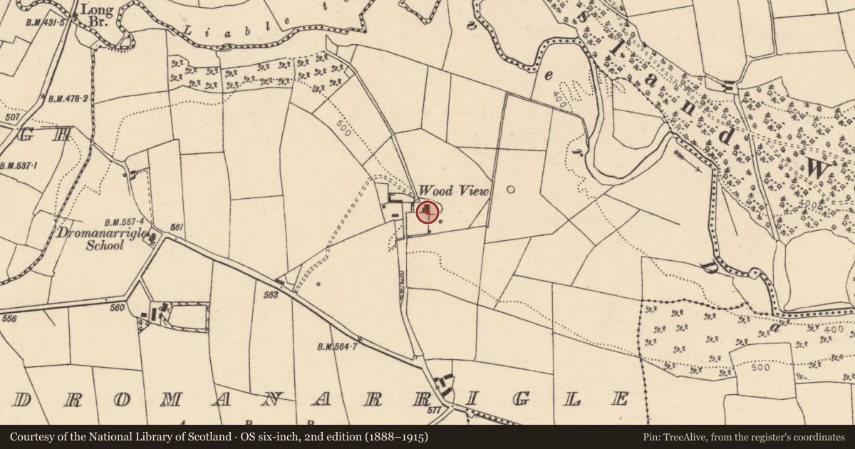 Ordnance Survey six-inch map, 2nd edition (1888–1915) covering the location of Country house, Dromanarrigle, County Cork, with a pin at the register's coordinates