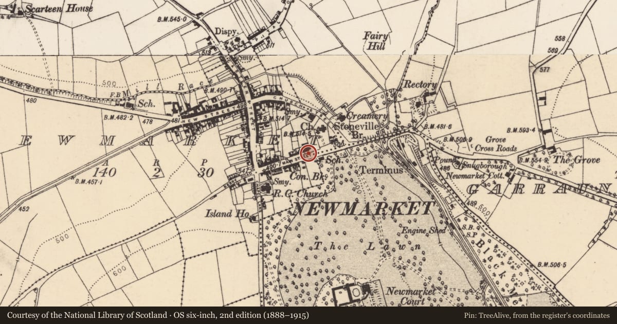 Ordnance Survey six-inch map, 2nd edition (1888–1915) covering the location of Historic town, Newmarket, County Cork, with a pin at the register's coordinates