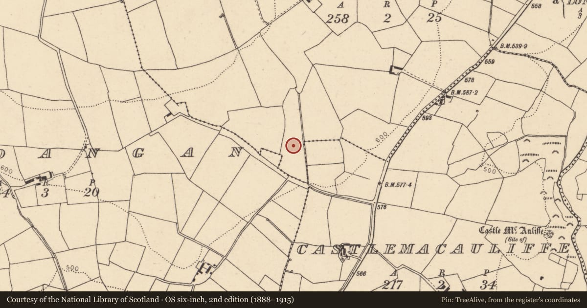 Ordnance Survey six-inch map, 2nd edition (1888–1915) covering the location of Fulacht fia, Clonfert, County Cork, with a pin at the register's coordinates