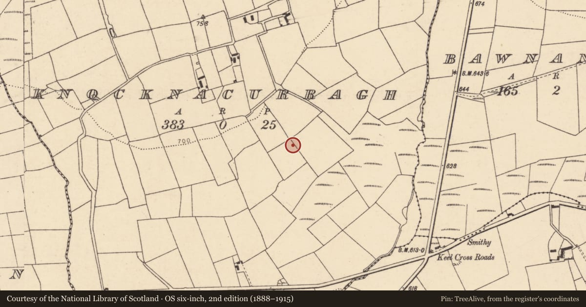 Ordnance Survey six-inch map, 2nd edition (1888–1915) covering the location of Standing stone (present location), Knocknacurragh, County Cork, with a pin at the register's coordinates