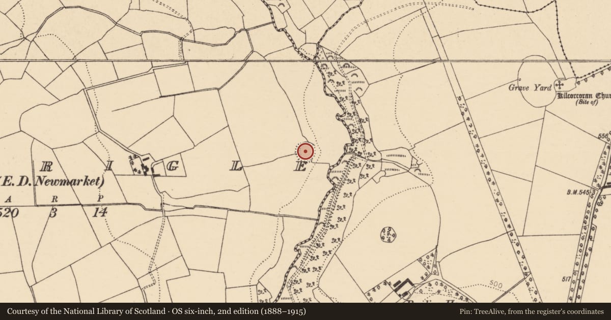 Ordnance Survey six-inch map, 2nd edition (1888–1915) covering the location of Ringfort - rath, Duarrigle (Duhallow By., Clonfert Par.), County Cork, with a pin at the register's coordinates