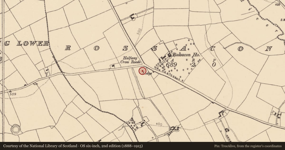 Ordnance Survey six-inch map, 2nd edition (1888–1915) covering the location of Earthwork, Rossacon, County Cork, with a pin at the register's coordinates