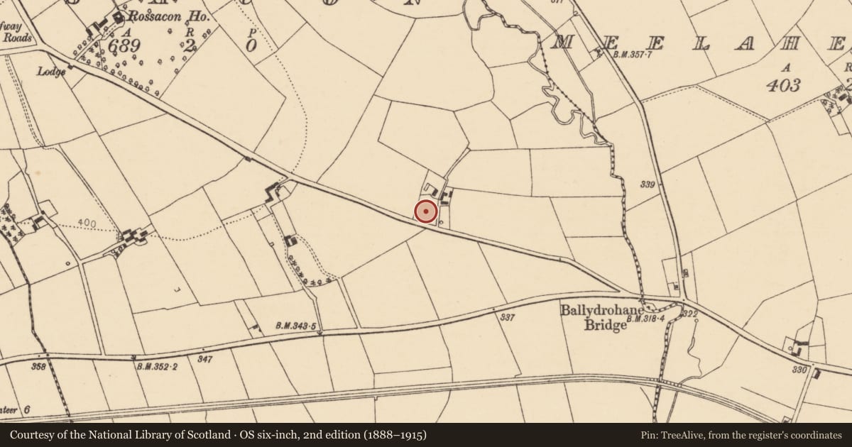 Ordnance Survey six-inch map, 2nd edition (1888–1915) covering the location of Ringfort - rath, Rossacon, County Cork, with a pin at the register's coordinates